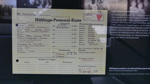 Alexej Wolokidino! Warum musste er hierher?