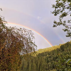 Regenbogen
