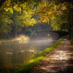Alter Kanal im Abendlicht