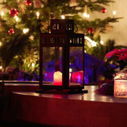Weihnachtslicht und Weihnachtsbaum