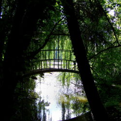 über die Brücke
