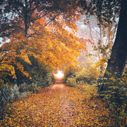 strahlendes Licht am Ende des Weges