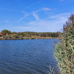 am neuen Kanal